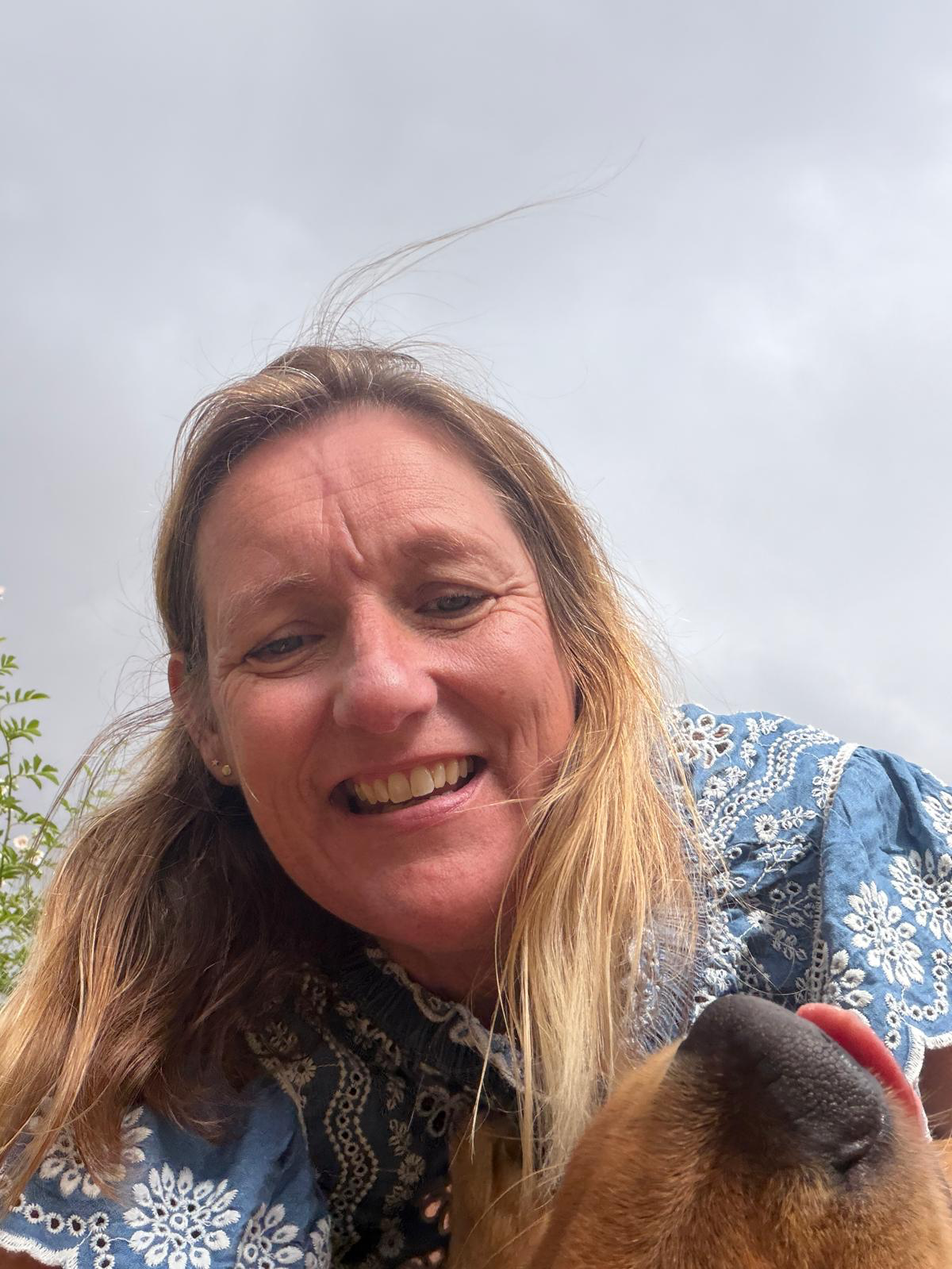 Menopause coaching with Caroline Foster – an eight-session course online or in person